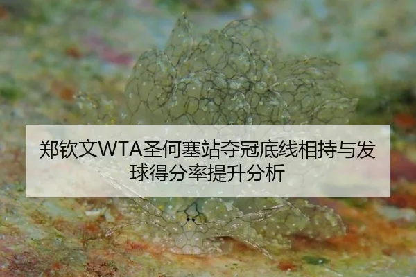 zheng-qin-wen-sheng-he-sai-zhan-duo-guan-di-xian-xiang-chi-yu-fa-qiu-de-fen-lv-ti-sheng-fen-xi-2-735.jpg